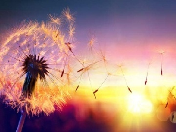 鹿山新材控股股东一致行动人减持1%股份，套现超3000万元，公司上半年净利近“腰斩”